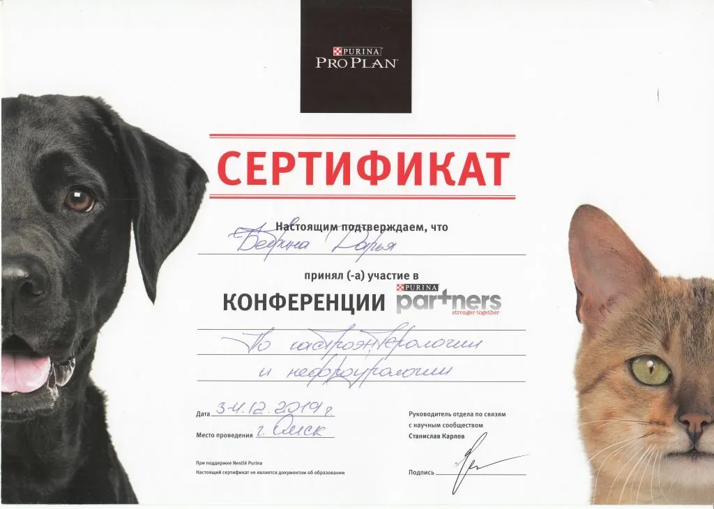 Сертификат о повышении квалификации врача клиники