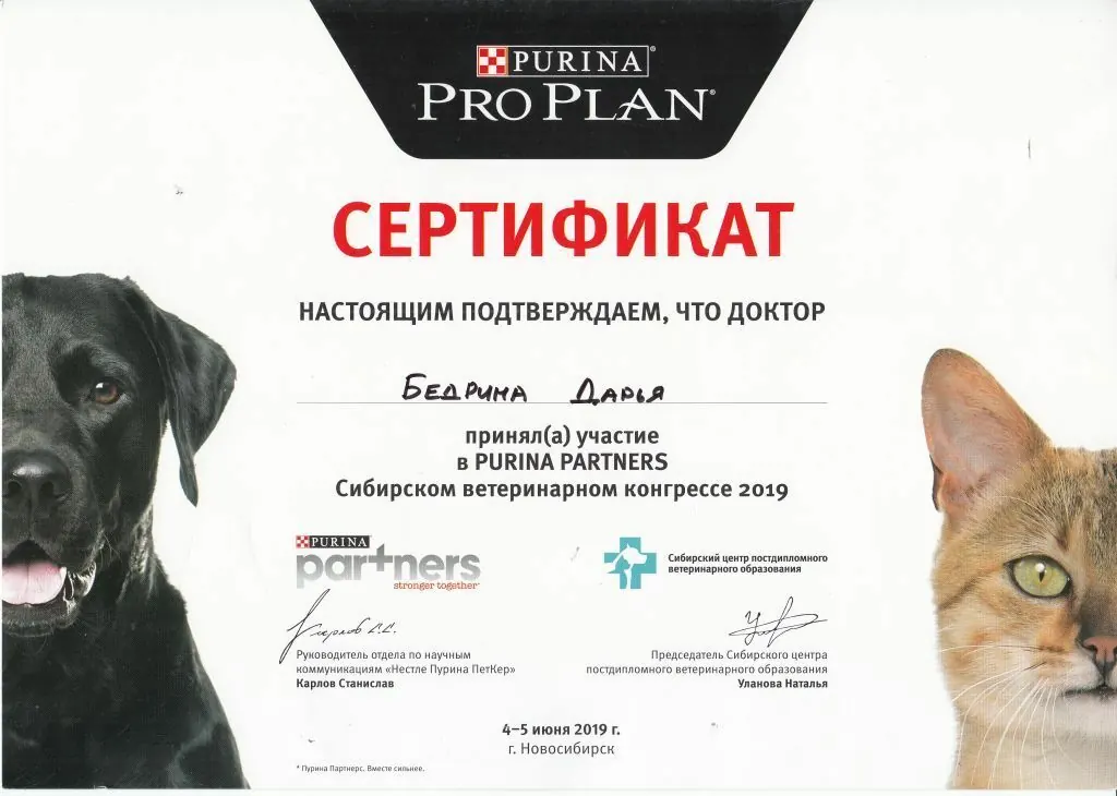 Сертификат о повышении квалификации врача клиники