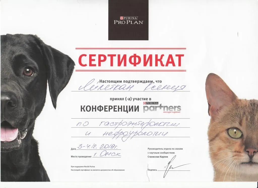 Сертификат о повышении квалификации врача клиники