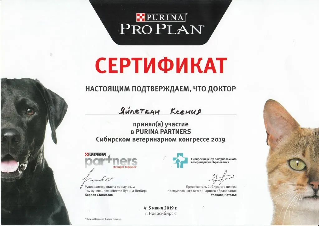 Сертификат о повышении квалификации врача клиники