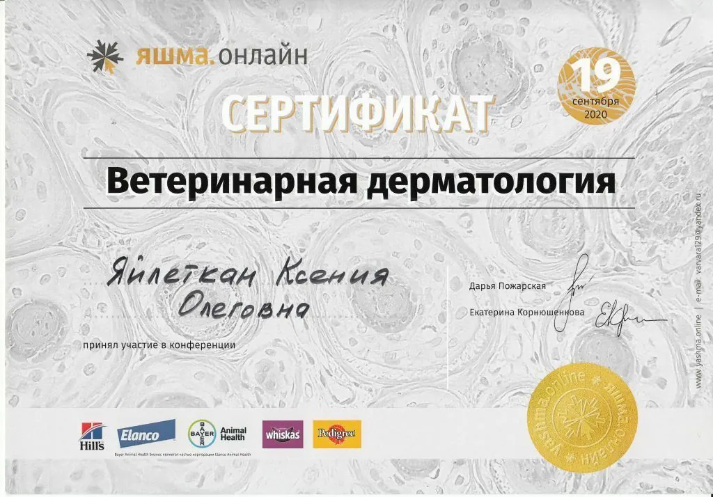 Сертификат о повышении квалификации врача клиники