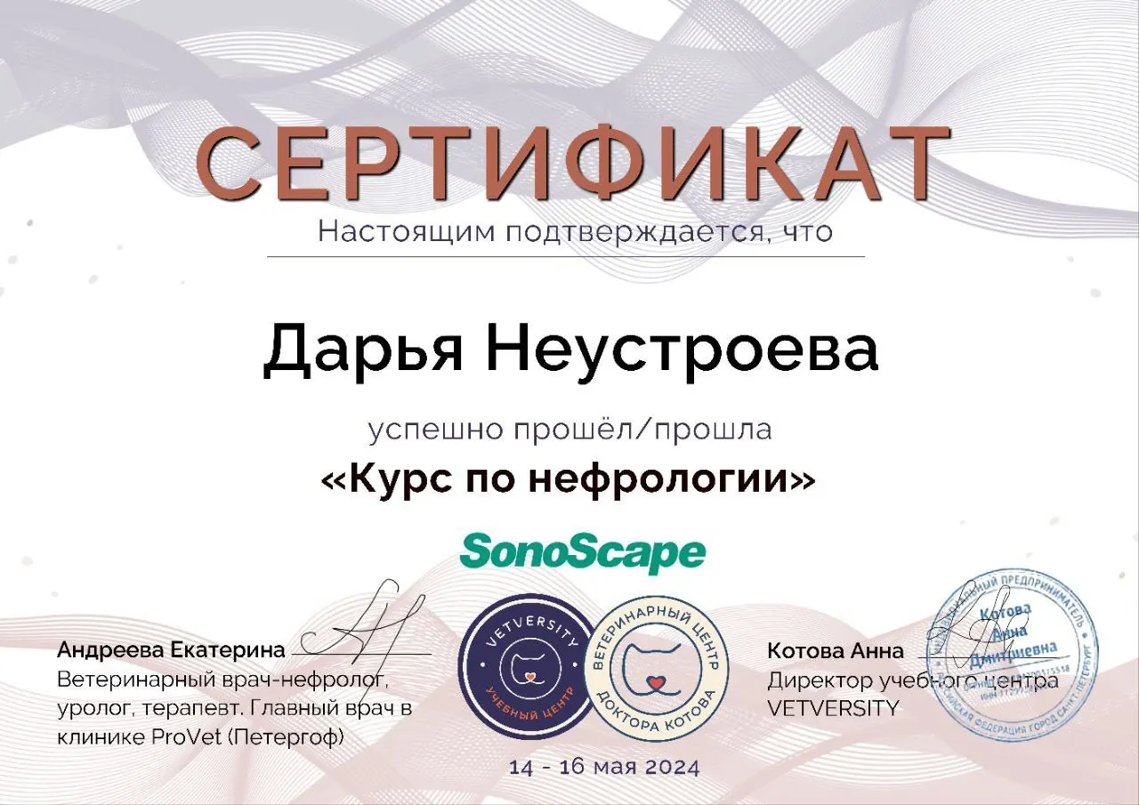Сертификат о повышении квалификации врача клиники