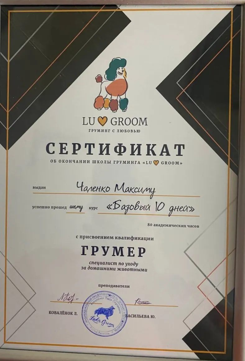 Сертификат о повышении квалификации врача клиники