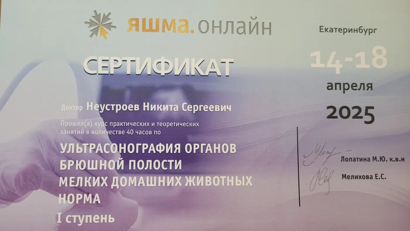Сертификат о повышении квалификации врача клиники